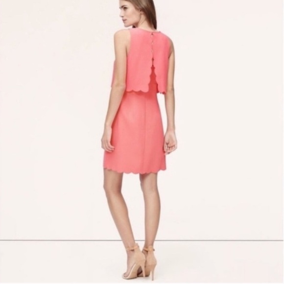 Loft 4 crop illusion scallop - Picture 3 of 7